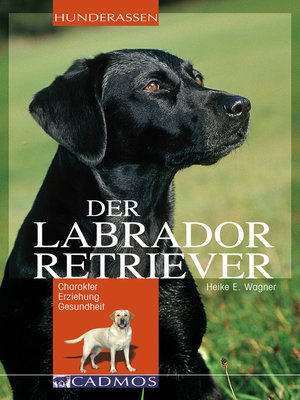 cover image of Labrador Retriever